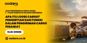 Apa Itu Loose Cargo Pengertian dan Fungsi Dalam Pengiriman Cargo Pesawat